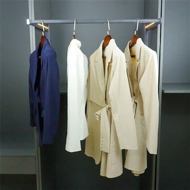 Wardrobe Dhíon le Slat Éadaí Inchoigeartaithe